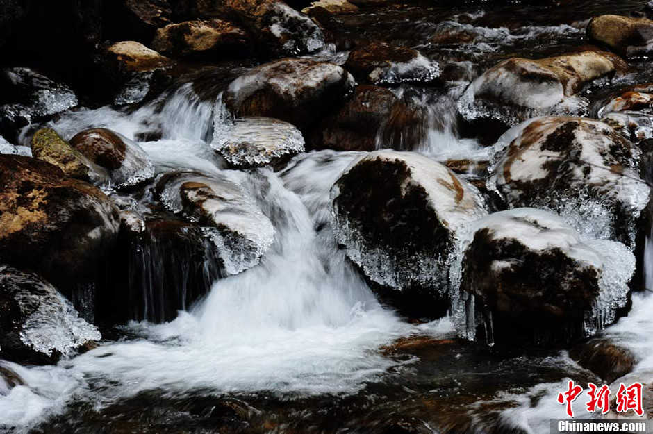 ����ٶ칵�����ٲ����Ա������