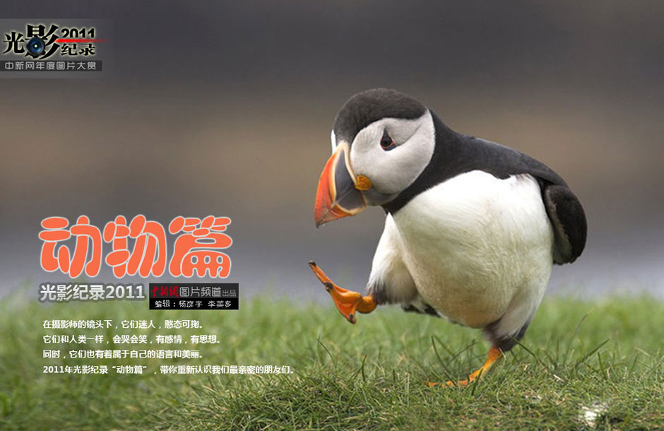 ����Ӱ��¼2011�����ͼƬ����——����ƪ
