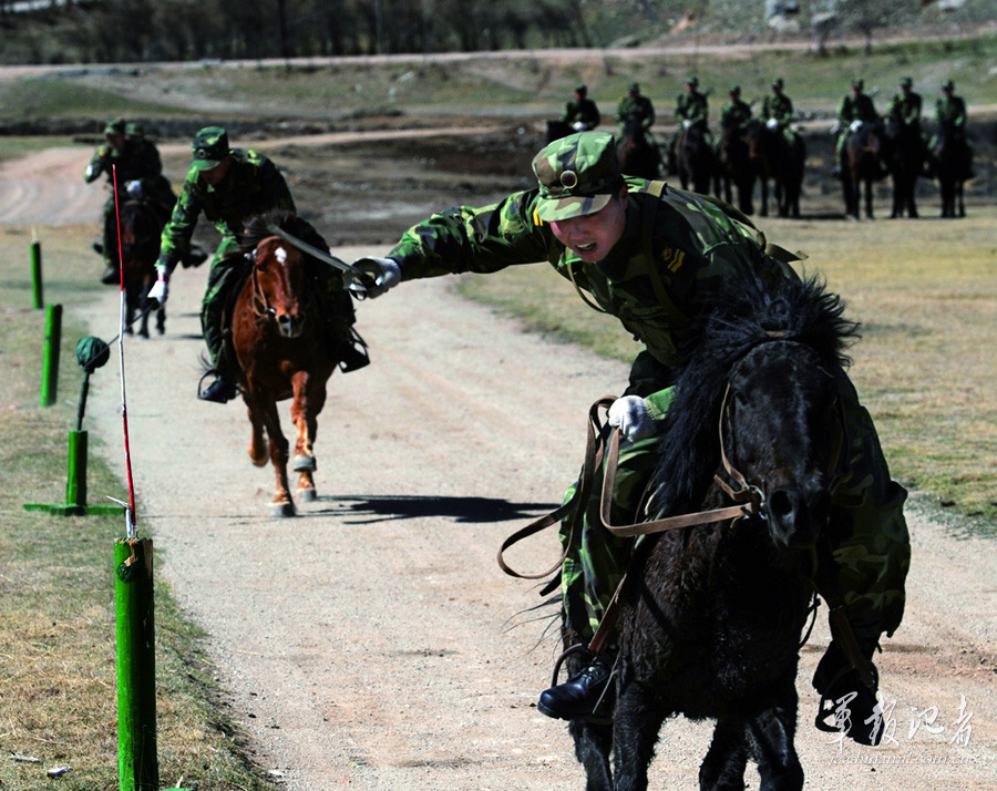 张建刚摄影作品之一永远的骑兵