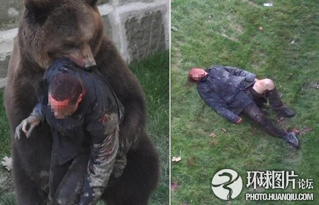 游客惨遭动物围攻的惊魂一幕2020