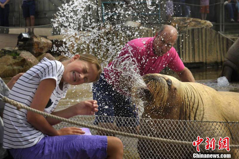 ������³����ˮϮ��Ů ����ˮ�������Ŀ