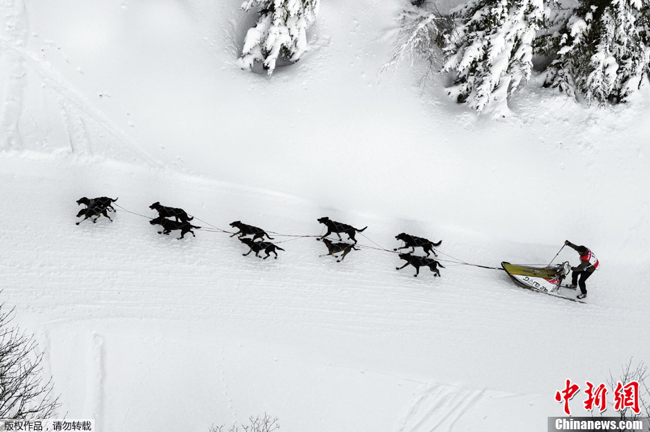世界各地梦幻雪景――雪橇狗比赛