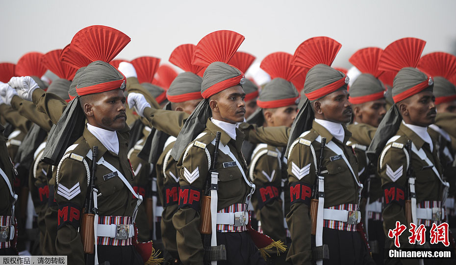 印度举行盛大阅兵式庆祝建军节18