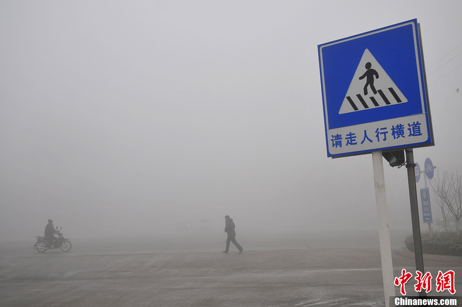 ���ڶ������ѩ��������