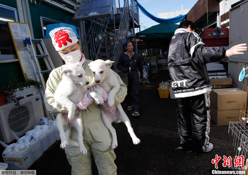 �ձ����ﱣ����֯����˷��������ȶ���