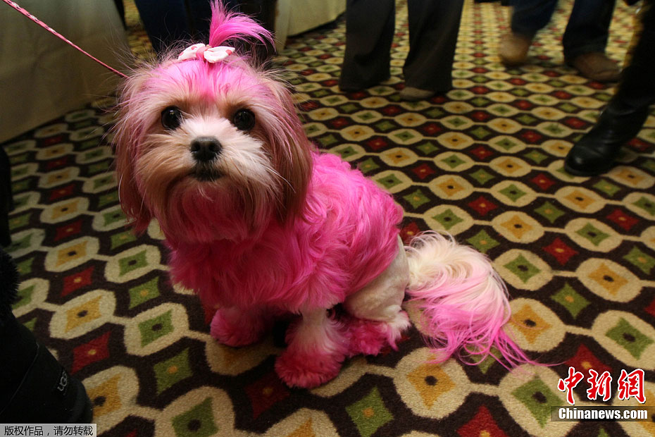 ����ʢװ�μ���˹��˹�ع�չ