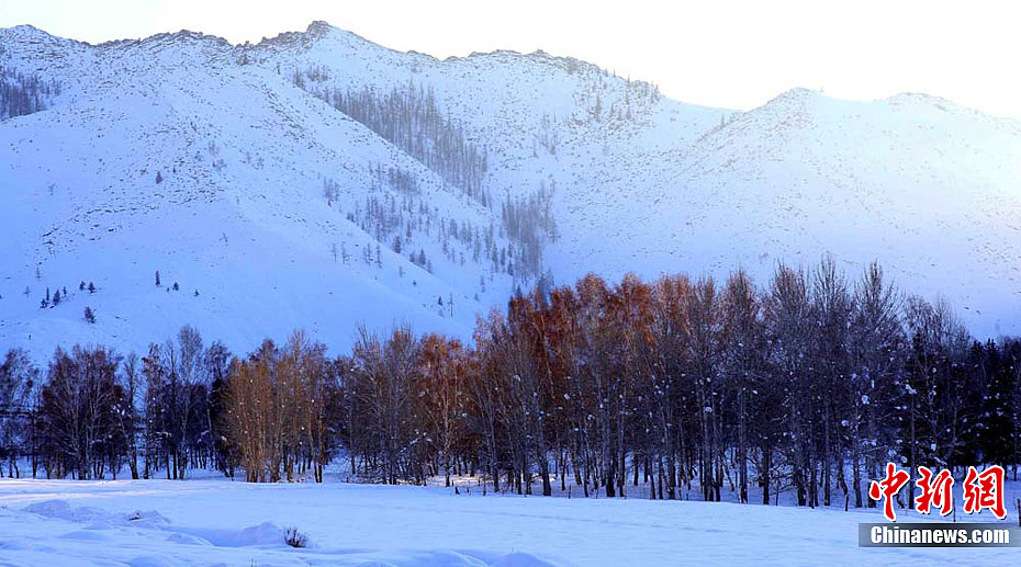 �½�����������������