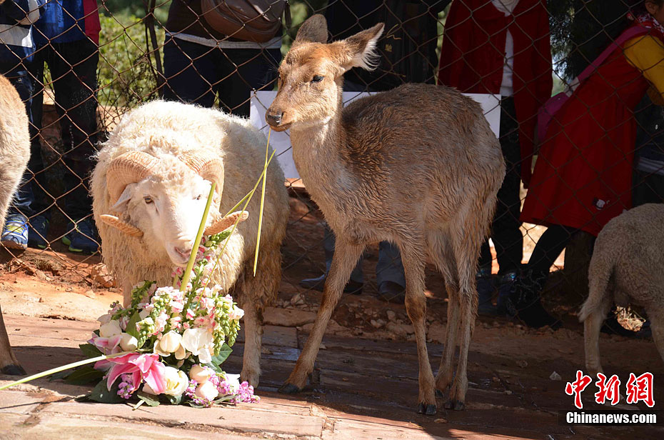 ���˽�����Ұ������԰����¹�����ճ�����