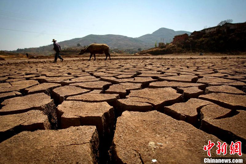 2012年2月26日,四川省攀枝花市,半月前,连续的干旱使平地镇平地村出现