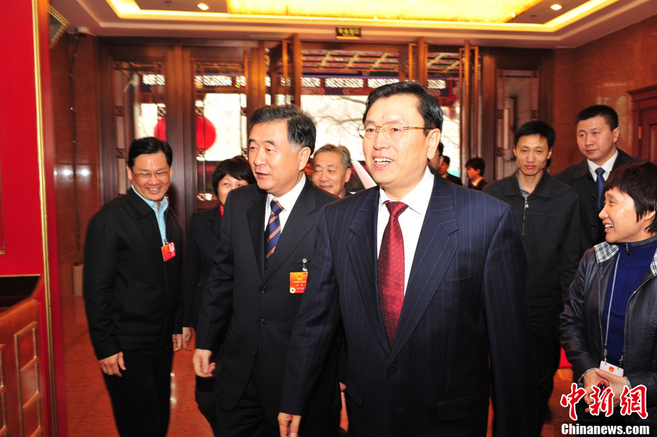 两会现场政协委员王建宙接受媒体采访