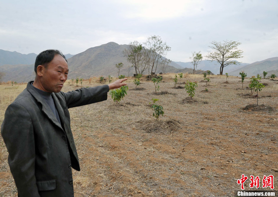 �ɿʵ����غʹ���——̽���Ĵ�����