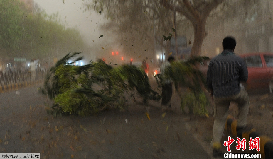 ������ͻϮӡ�� ��������������