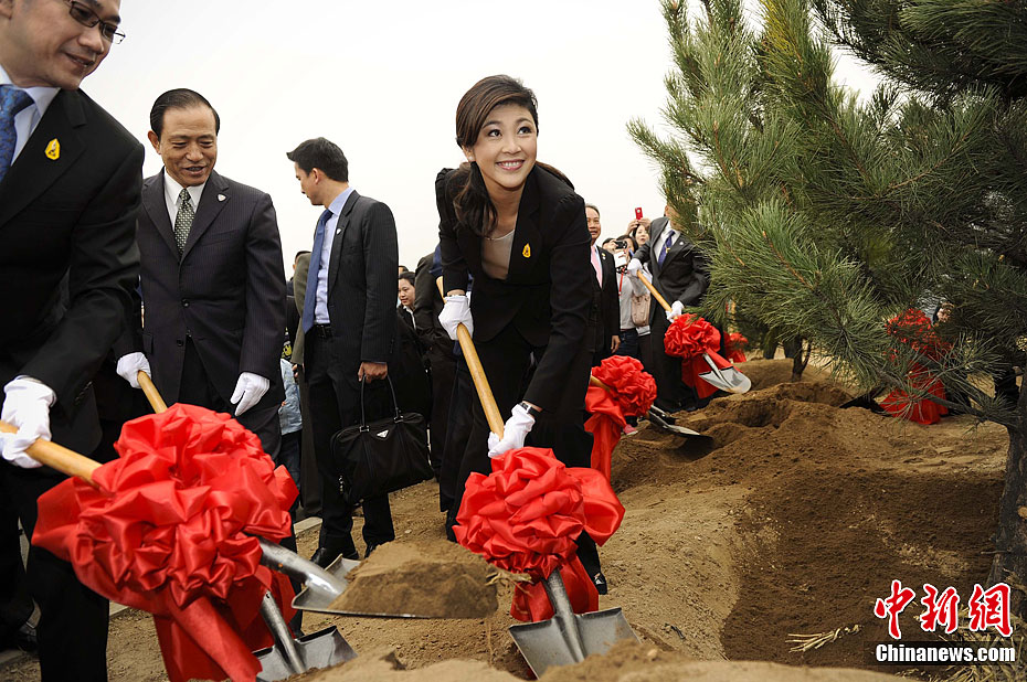 泰王国总理英拉北京植下中泰友谊树