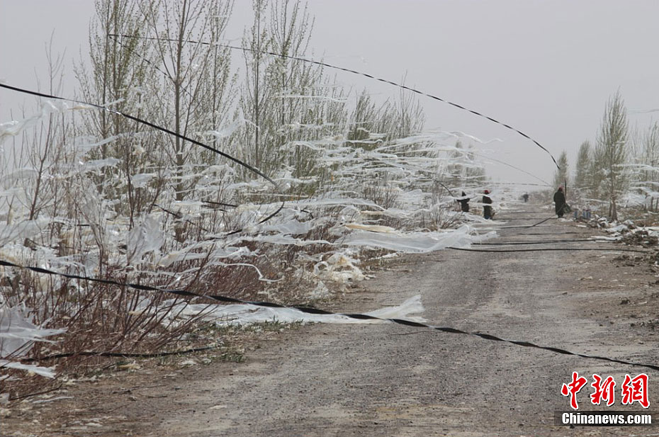 新疆部分地区遭遇大风沙尘天气