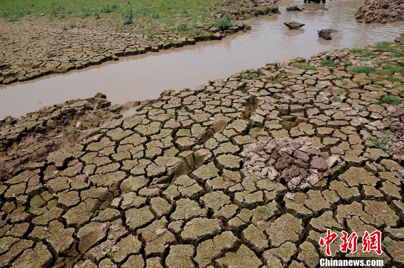 广西部分地区出现旱情逾20万人饮水困难