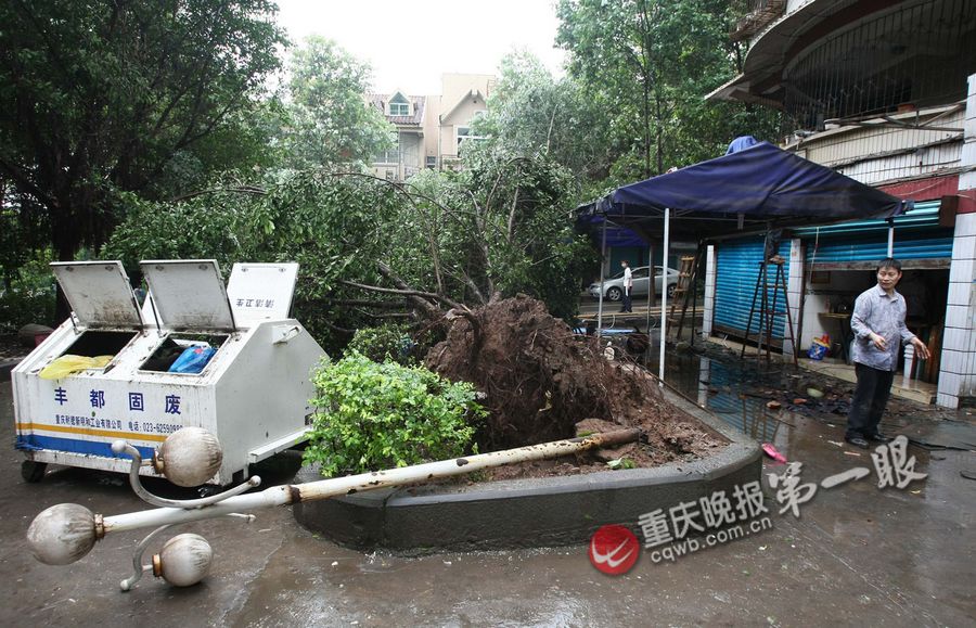 重庆丰都县遭遇10级狂风袭击致1死1伤