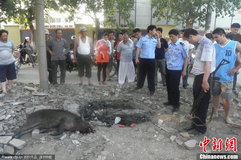 ɽ����ׯҰ���������� ��Χ�˽������