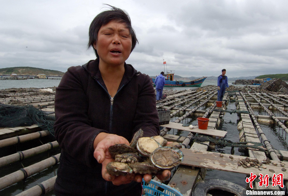 �ೱ�ش�����ƽ̶������ֳ ��ʧ��3��