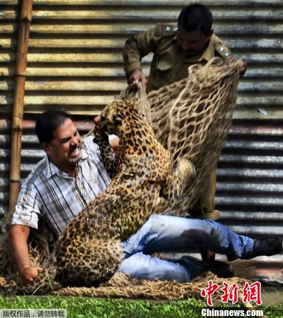 ������ӡ��ʯ�͹�˾�ܲ� ��13�����������