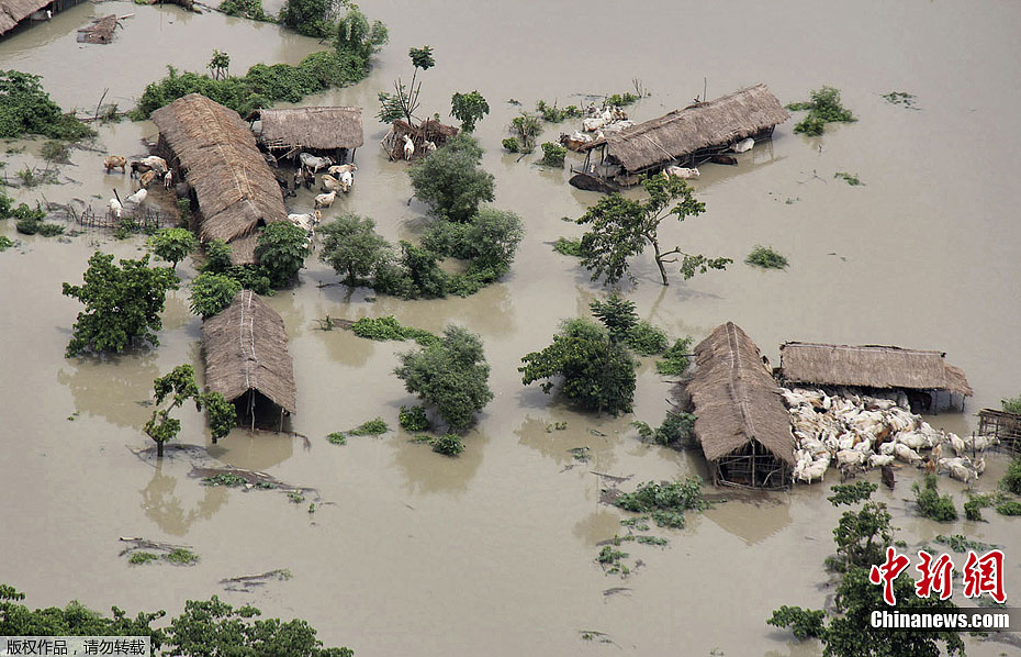 印度东北部发生洪灾 220万人无家可归