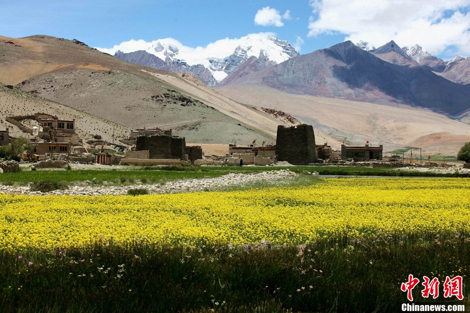 七月西藏 美在青山绿水