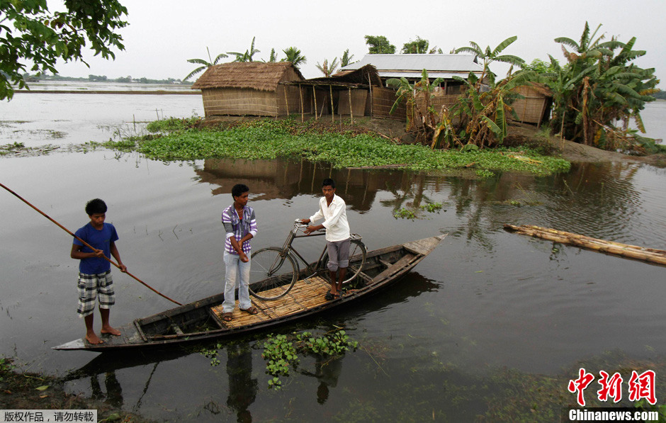 印度阿萨姆邦洪灾已致120余人死亡