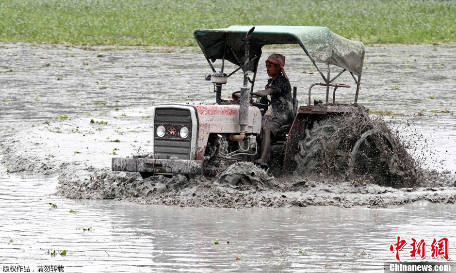 印度阿萨姆邦洪灾已致120余人死亡