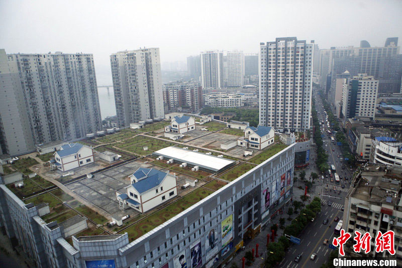 ��ţ��¥��������������������