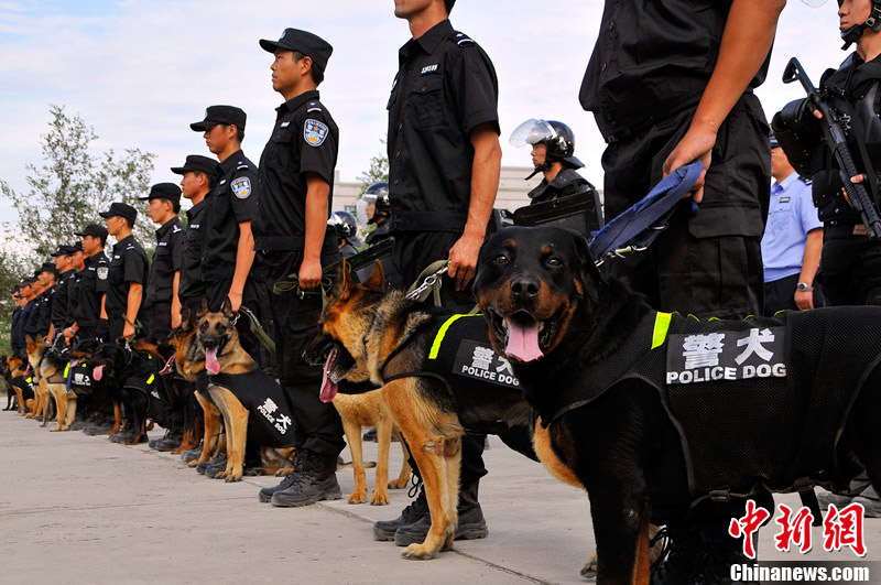 新疆6个犬种警犬展铁血战士风采