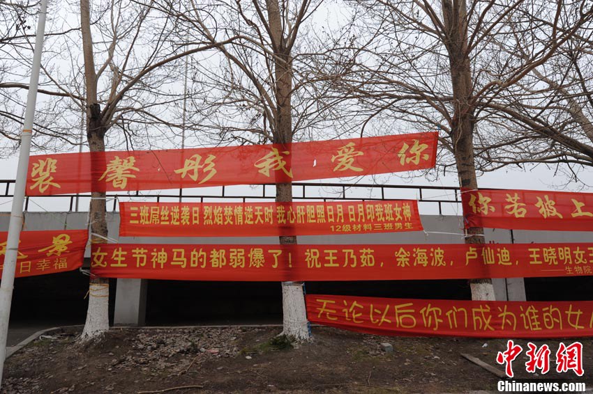 高校理工男创女生节创意横幅挂满校园