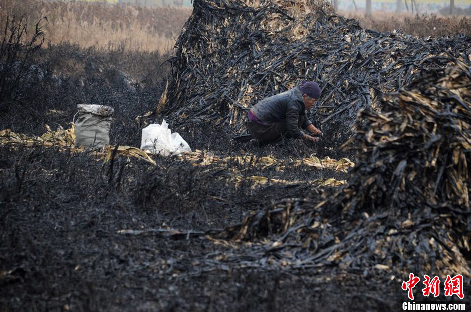 山东滨州废弃油井井喷 致几十亩土地变黑
