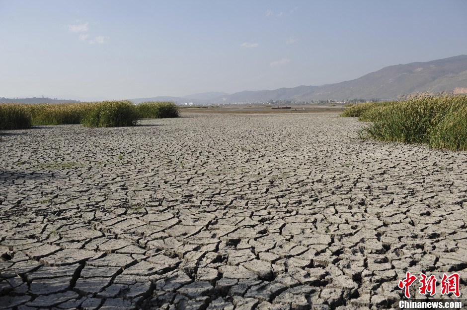 云南连续干旱异龙湖大面积萎缩
