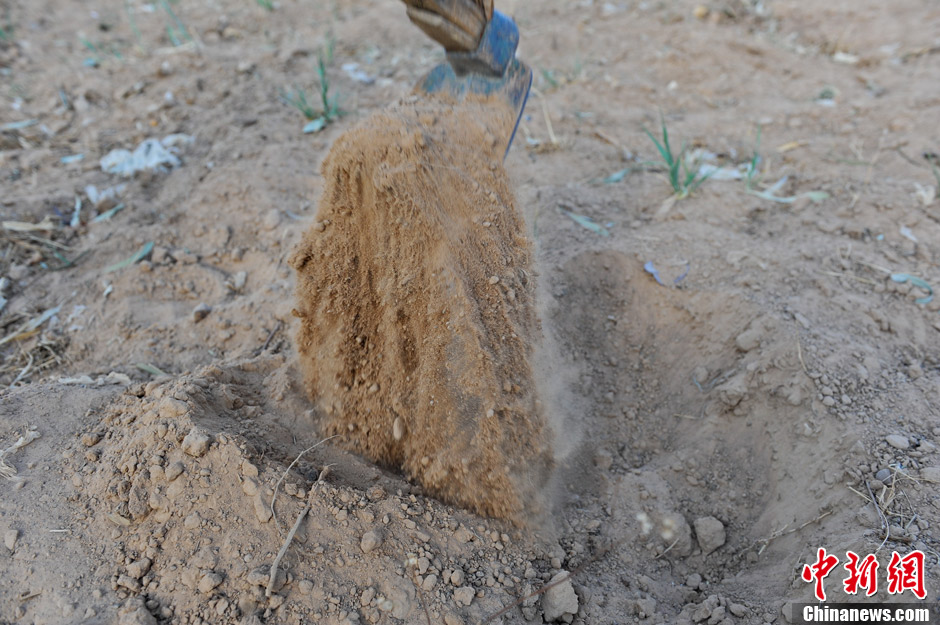 云南连年干旱土壤干旱成细碎沙砾