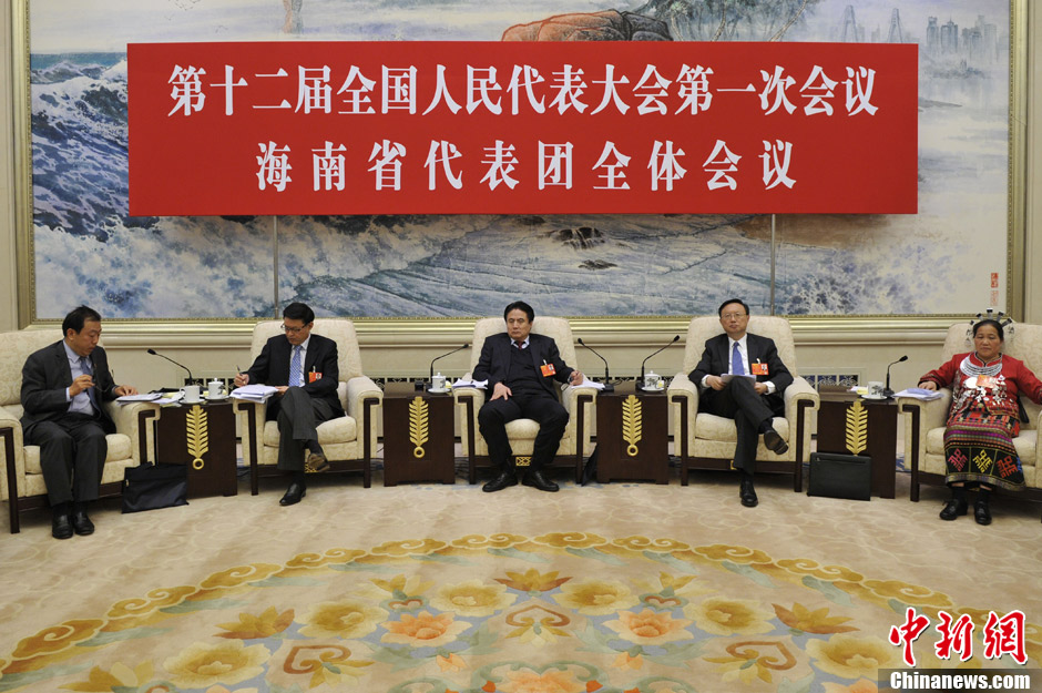 全国人大海南代表团举行团组讨论