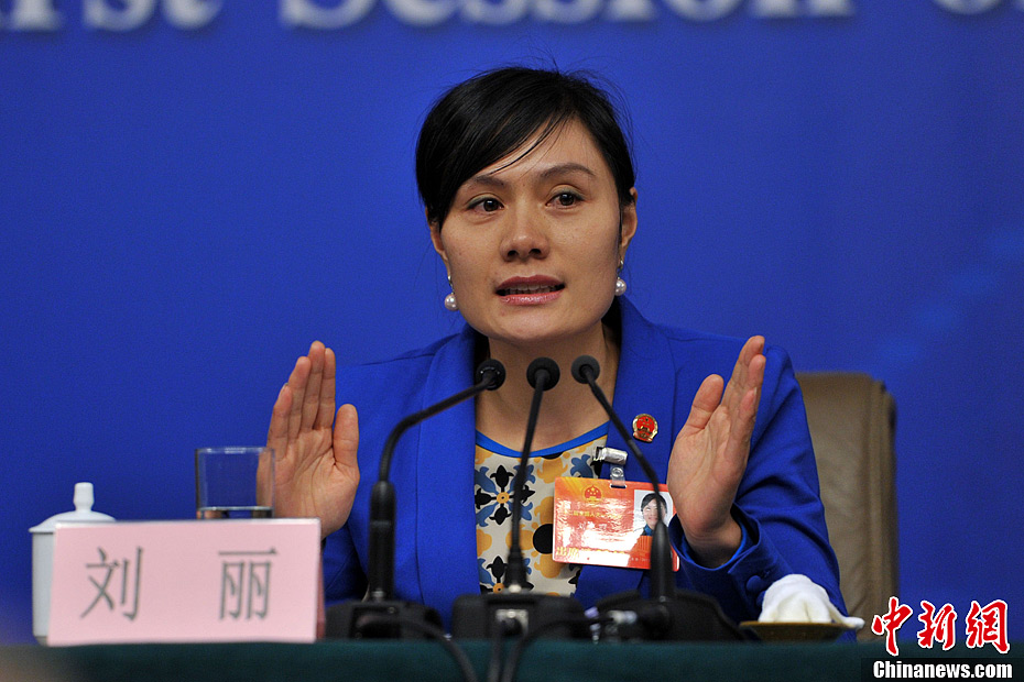 全国人大会议记者会刘莉代表参加记者会
