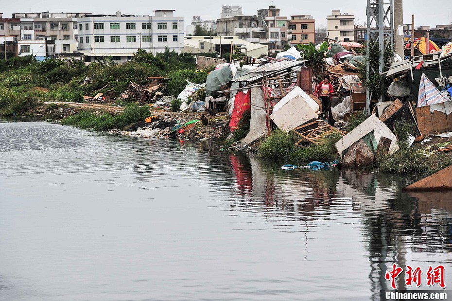 广东练江垃圾漂浮水浮莲丛生