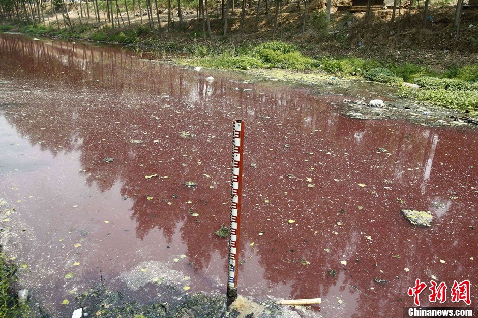 河南新乡西孟姜女河河水泛红变血河