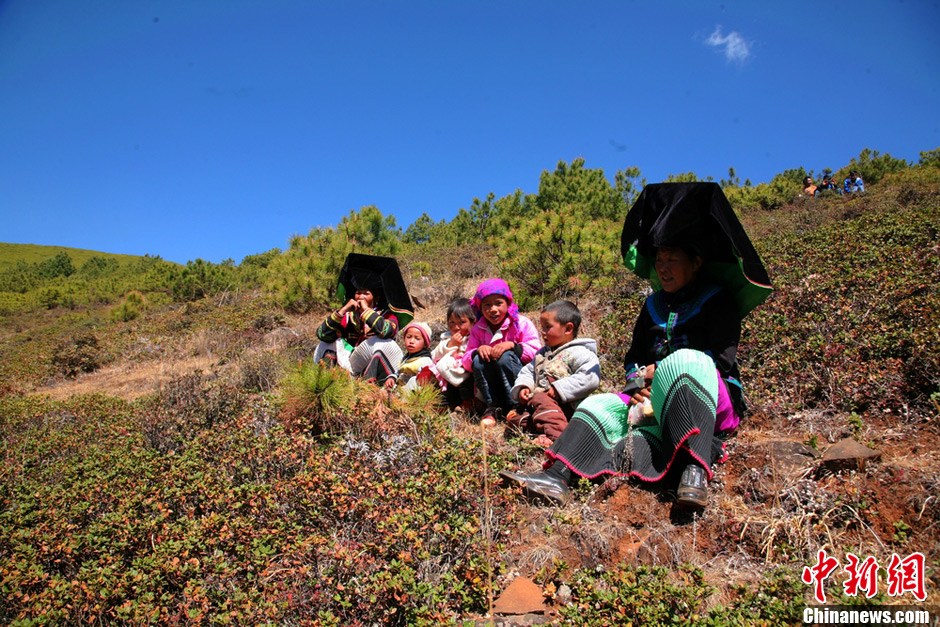 神秘高原原始生态景区四川盐边格萨拉