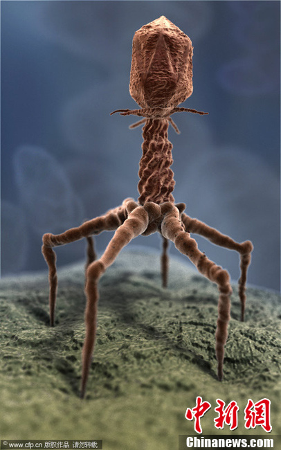 3d技术放大人体细胞组织宛如外星世界