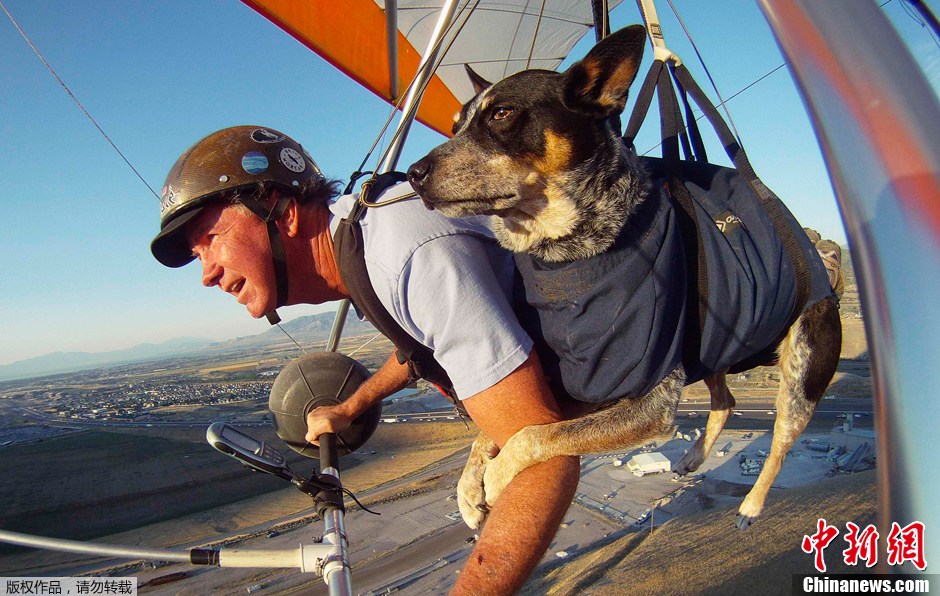 滑翔达人带宠物狗一起做空中“飞人”