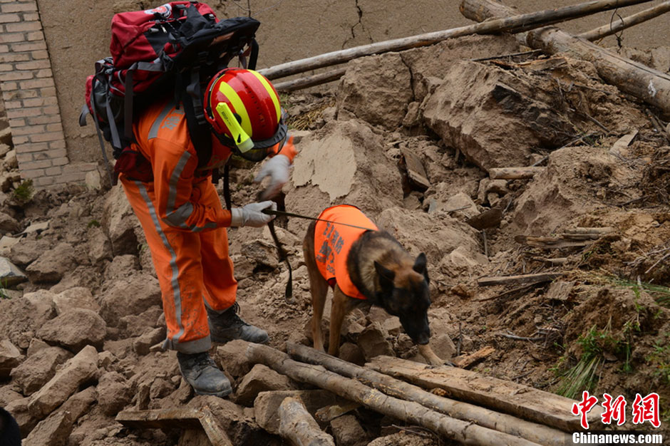 甘肃定西地震：搜救犬定位埋压人员协助救援