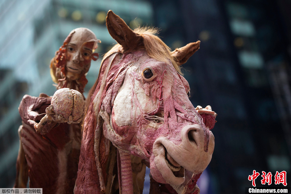 纽约时代广场上演重口味人马尸体展
