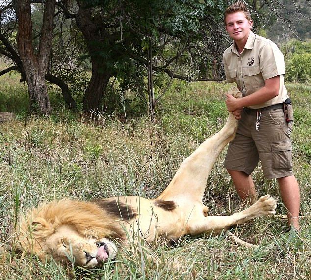 如此大胆英少年驯兽师为狮子做足底按摩17