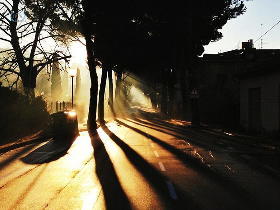 第七届iphone摄影奖作品记录生活中的点滴瞬间