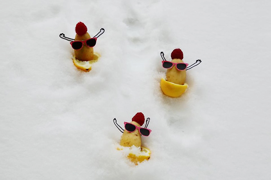 艺术家打造奇葩小土豆58