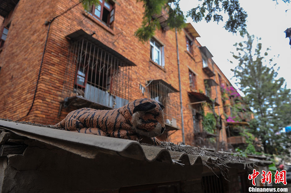 昆明即将消失的筒子楼见证时代变迁