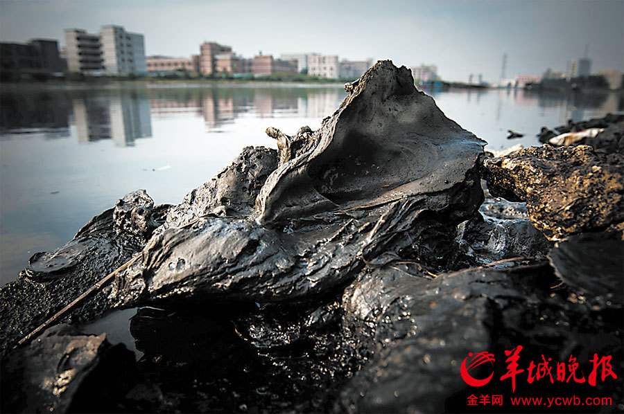 深圳茅洲河污染严重臭气扑面 整治多年无改善