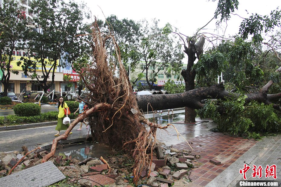 记者11日在三亚看到,台风过后,三亚街道两旁一片狼藉,到处都是被风