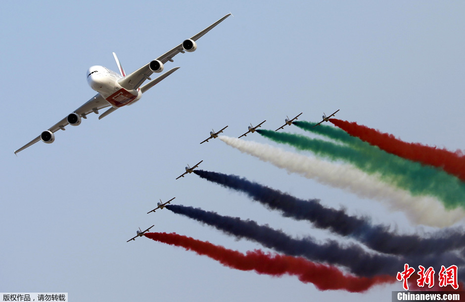 迪拜国际航展 各国上演精彩空中特技