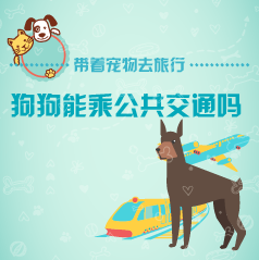 “带着宠物去旅行”――狗狗能乘公共交通吗？